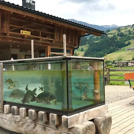 Mountain Penthouse 8 & 9 Apartamento Fügen