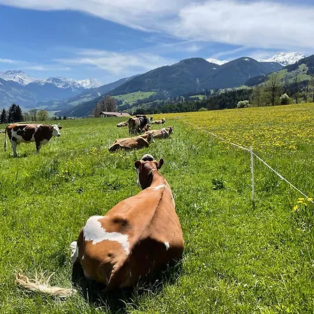 Διαμέρισμα Mountain Penthouse 8 & 9 *